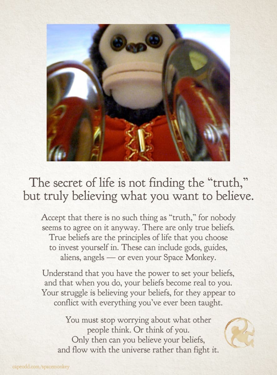 Space-Monkey-Secret-of-Life-1000