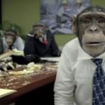careerbuilder_monkeys