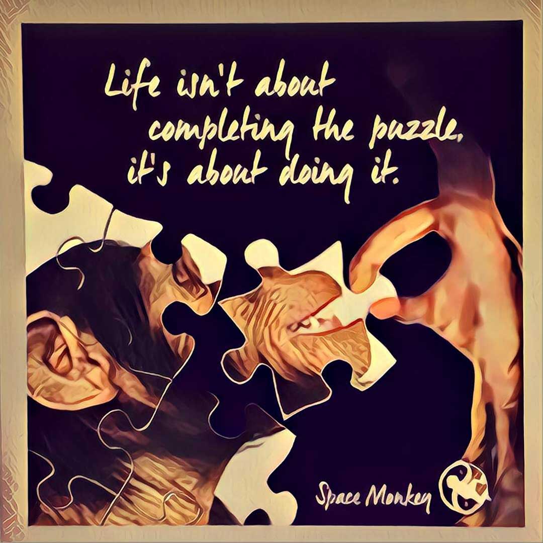 Life isn't about completing the puzzle, it's about doing it.