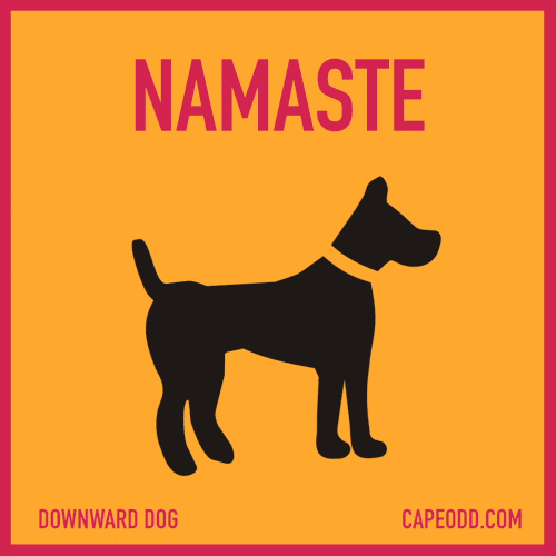 "Namaste. Namasit. Namarollove" by Paul Tedeschi is licensed under a Creative Commons Attribution-NonCommercial-NoDerivatives 4.0 International License. Based on a work at capeodd.com. Permissions beyond the scope of this license may be available at capeodd.com.