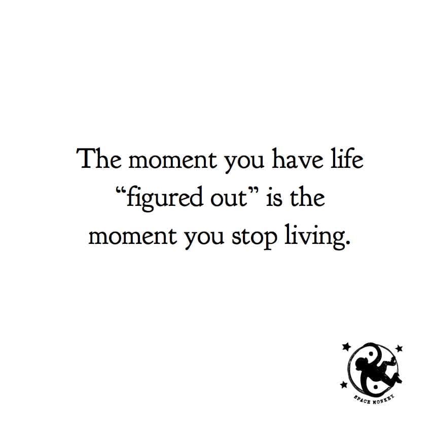 The moment you have life “figured out” is the moment you stop living.