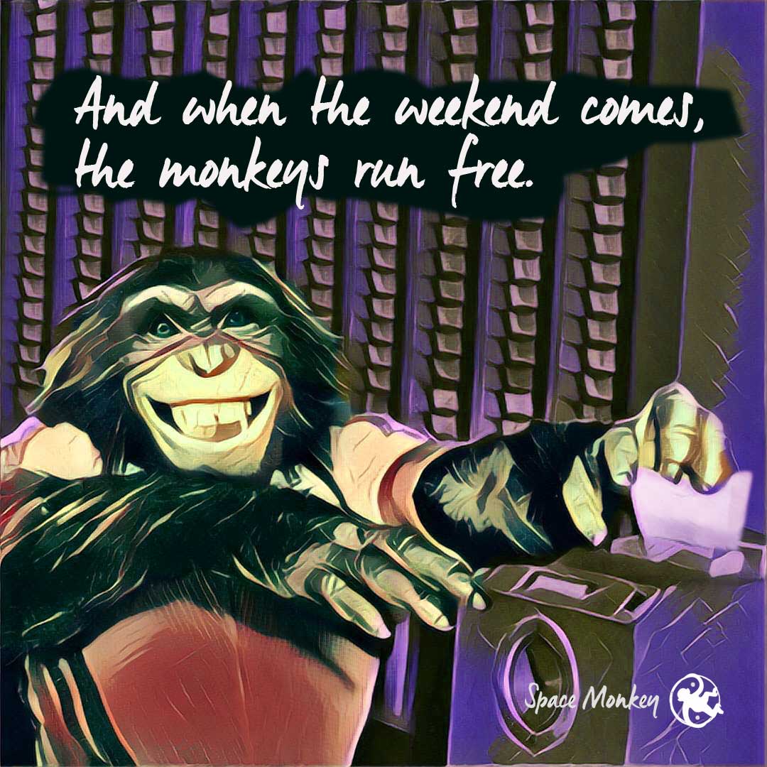 And when the weekend comes, the monkeys run free.