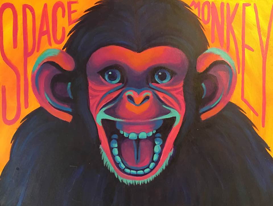 Space Monkey by Hal Tedeschi