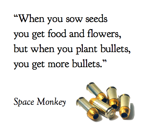 “When you sow seeds  you get food and flowers, but when you plant bullets,  you get more bullets.”
